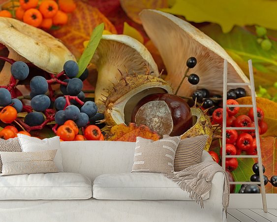 Raumvorschau