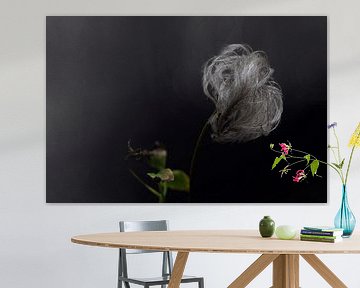 kunstzinnige clematis in de herfst