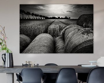 Getreidefeld in schwarz-weiß von Martien Hoogebeen Fotografie