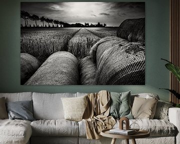 Getreidefeld in schwarz-weiß von Martien Hoogebeen Fotografie