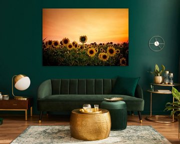 Die eigensinnige Sonnenblume von Eva Bos