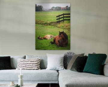 Pferd und Fohlen in der Landschaft von Dirk van Egmond