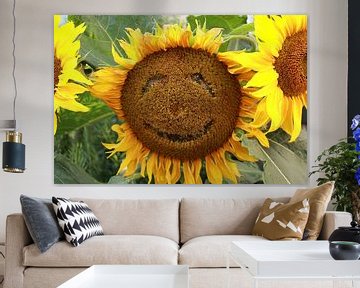 Fröhliche Sonnenblume