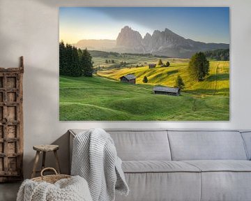 Summer morning on the Alpe di Siusi by Michael Valjak