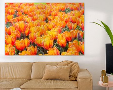 Bloemenperk met oranje tulpen van ManfredFotos