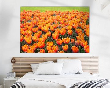 Bloemenperk met oranje tulpen
