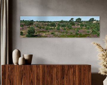 Panorama van het Aekingerzand