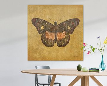 Ochre Butterfly, Katie Pertiet by Wild Apple