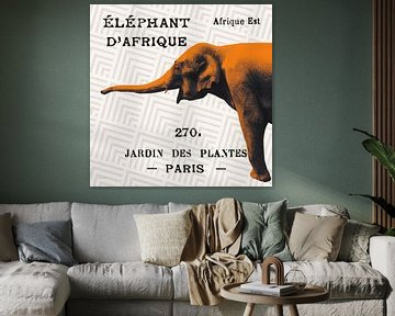 Bright Safari Elephant on Taupe, Sue Schlabach by Wild Apple