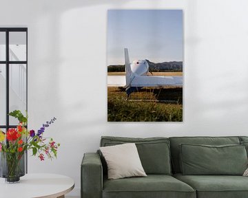 Private plane on the verge of departure in the French Ardèche located on a vineyard. by Fotograaf Elise