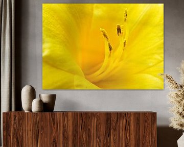 Yellow flower van Jessica Berendsen
