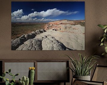 White Pocket, Vermilion Cliffs National Monument, Arizona by Frank Fichtmüller