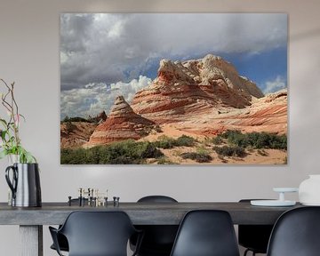 White Pocket, Vermilion Cliffs National Monument, Arizona van Frank Fichtmüller