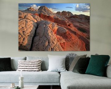 White Pocket, Vermilion Cliffs National Monument, Arizona van Frank Fichtmüller