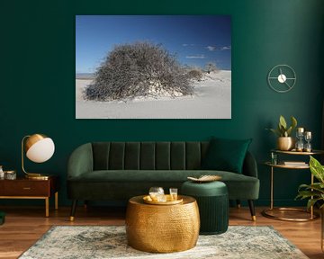 White Sands Dunes National Monument in New Mexico