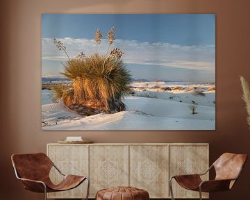 White Sands Dunes National Monument in New Mexico USA van Frank Fichtmüller