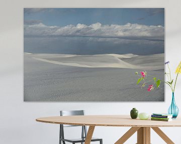 White Sands Dunes National Monument in New Mexico USA van Frank Fichtmüller