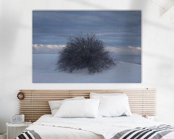 White Sands Dunes National Monument in New Mexico USA by Frank Fichtmüller