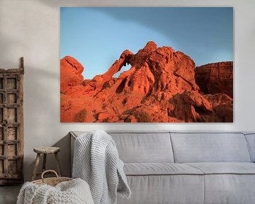 Elephant Rock dans le parc d'État de la vallée de feu, États-Unis. Le Valley of Fire State Park est  sur Frank Fichtmüller