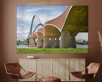 The Waal, its floodplains and the Oversteek by Frans Blok