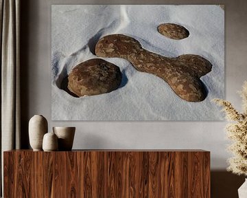 Ah-Shi-Sle-Pah Wilderness Study Area in winter with funny stone figures ,New Mexico,USA by Frank Fichtmüller