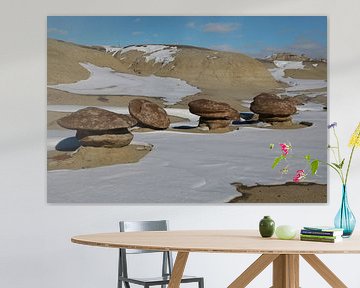 Ah-Shi-Sle-Pah Wilderness Study Area in winter with funny stone figures ,New Mexico,USA by Frank Fichtmüller