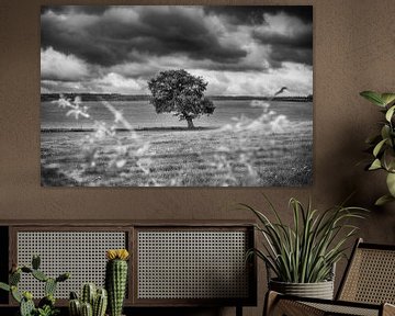 Schwarz-weiße Landschaft von Mark Bolijn