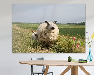 Schaap met haar lammetje op Texel van Rob van Amerongen