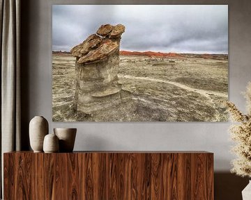 Bisti Badlands, New Mexico, USA van Frank Fichtmüller