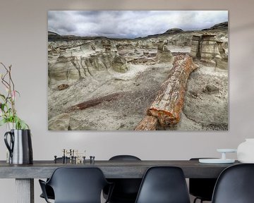 Bisti Badlands versteend hout in de winter New Mexico, VS van Frank Fichtmüller