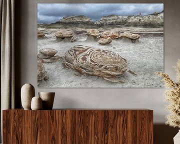 Œufs de roche rayée avec du grès à l'aube, Bisti Badlands, De-Nah-Zin Wilderness Area, Nouveau-Mexiq sur Frank Fichtmüller