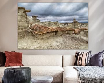 Bisti Badlands versteend hout in de winter New Mexico, VS van Frank Fichtmüller