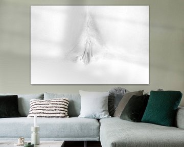 Artistiek Naakt van een Vagina en Billen in High Key Zwart Wit van Art By Dominic