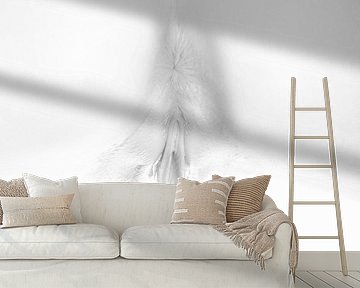 Artistic Nude of a Vagina and Buttocks in High Key Black and White by Art By Dominic