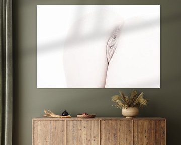 Artistiek Naakt van Billen en een Vagina in High Key Kleur van Art By Dominic