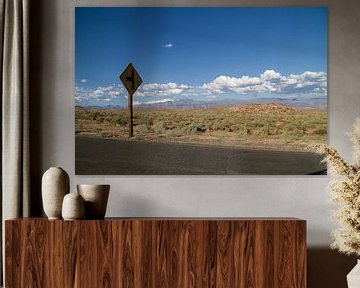 Verkeersbord in de wildernis van Sander Meijering