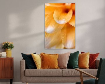 Sweet Dhalia’s | Fine art print | Orange Flower van Gabry Zijlstra