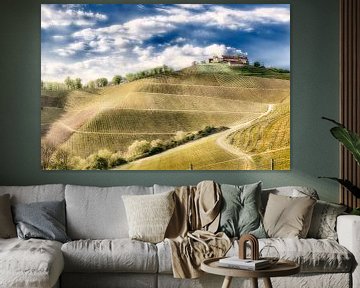 Staufenberg Castle in gentle vineyards by Matthias Edition