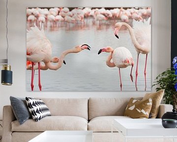 Flamants roses sur Berit Kessler