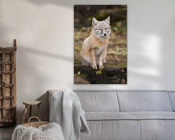 Fox in the forest by Berit Kessler