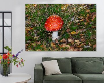 Toadstool van Karin Jähne