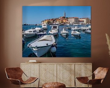 Haven van Rovinj aan de Adriatische Zee van Animaflora PicsStock