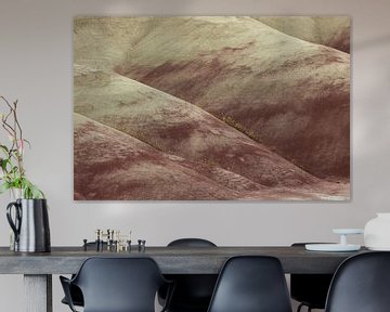 Painted Hills in the John Day Fossil Beds National Monument at Mitchell City, Wheeler County, Northe von Frank Fichtmüller