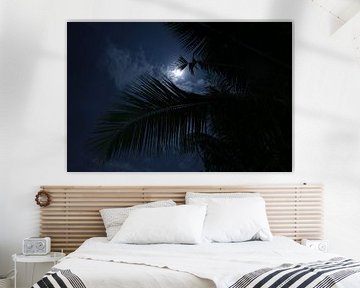 Maanlicht door de palmbladeren van Floris Verweij