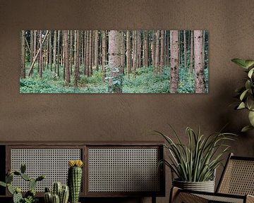 Panorama Bos Duitsland van Lampe Productions
