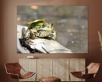 Frog with leaf by Berit Kessler