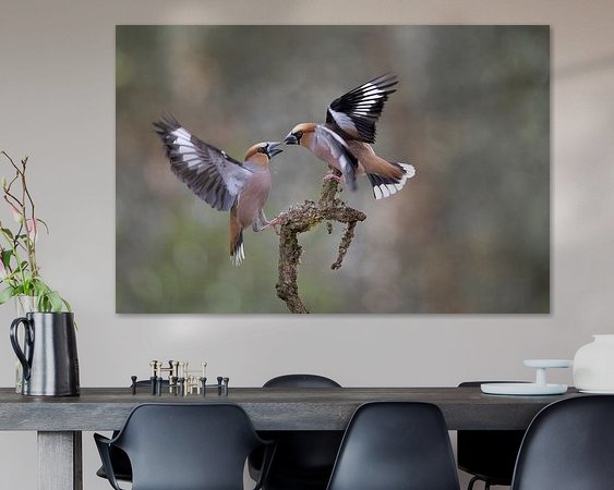 Aperçu de la chambre