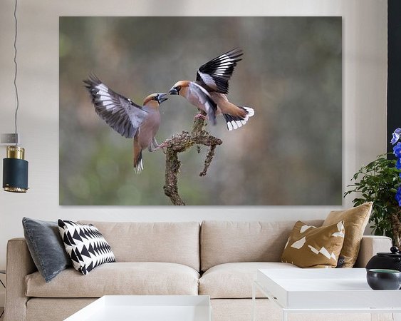 Aperçu de la chambre