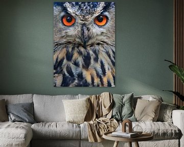 Orange Eyed Eagle Owl by M DH