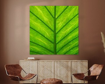Tropisch groen blad aan de onderkant. van Christa Stroo fotografie